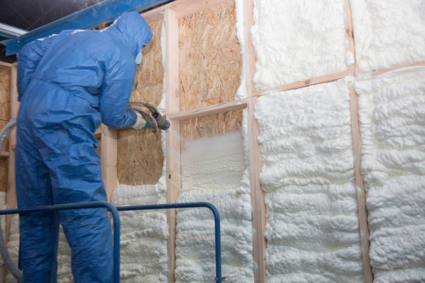 Best Basement Insulation  in Myrtle Creek, OR